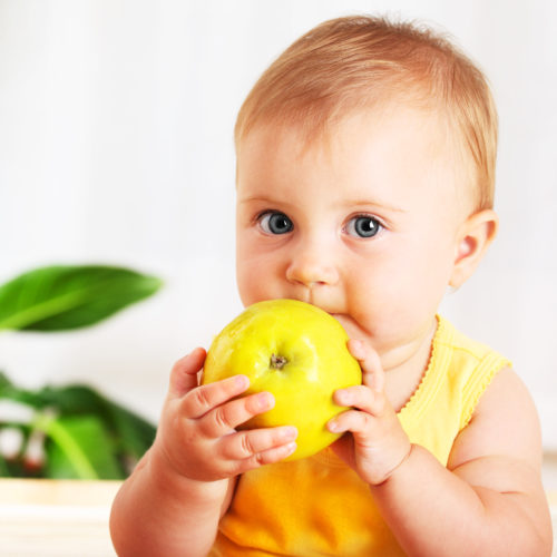 Little baby eating apple Little baby eating apple, closeup portrait, concept of health care & healthy child nutrition