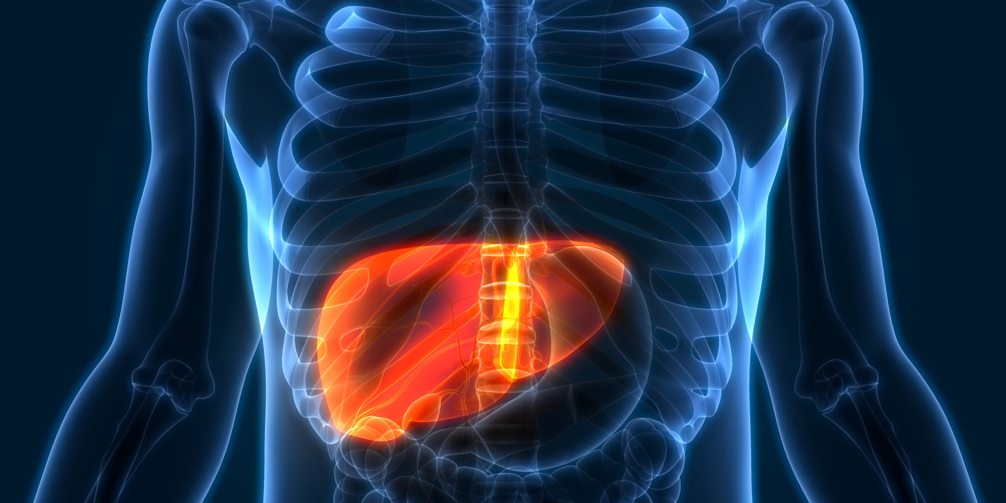 Wellness Wednesday Protecting your child’s liver GI for Kids